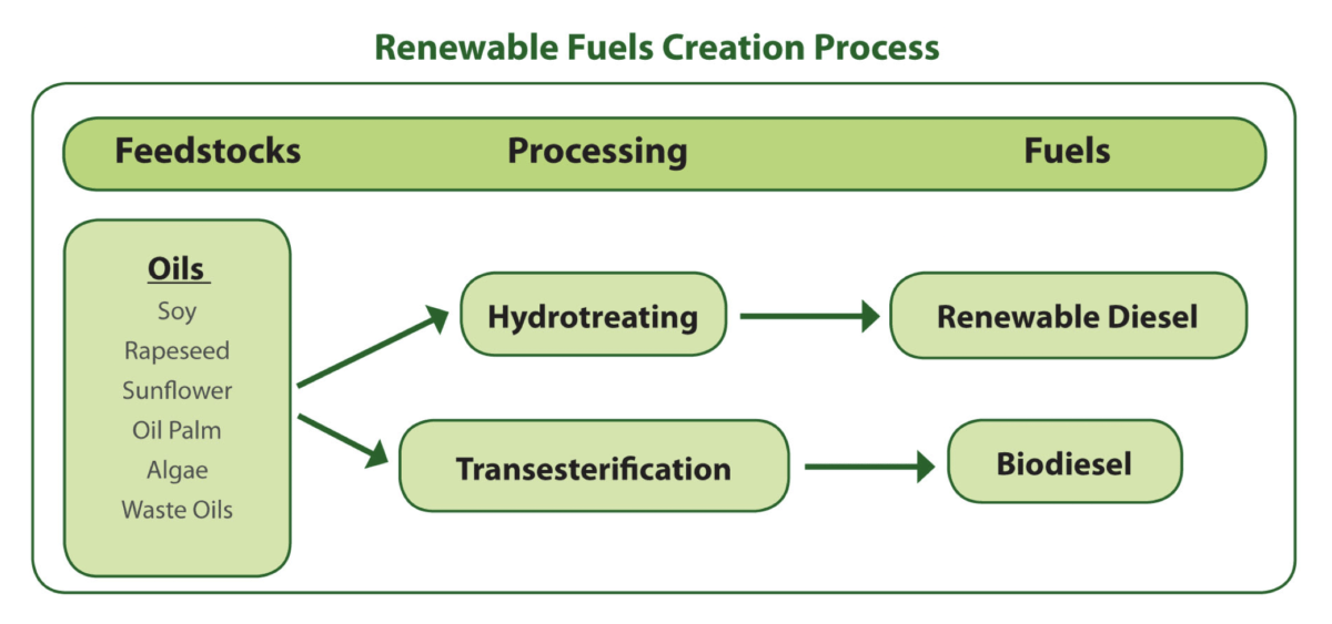 renewal fuels creation process