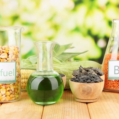 conceptual photo of bio fuel